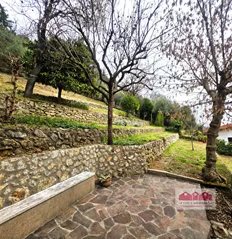 Foto annuncio 15