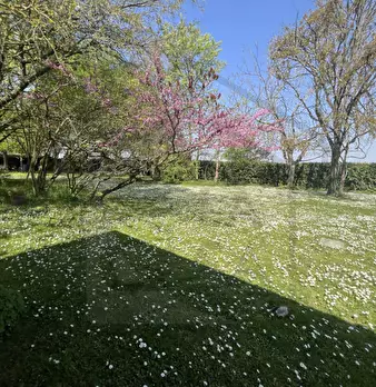 Foto annuncio 50