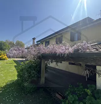 Foto annuncio 53