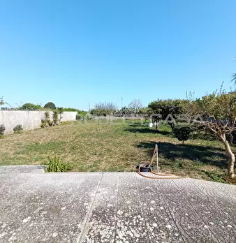 Foto annuncio 21
