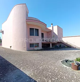 Foto annuncio 24