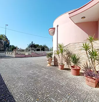 Foto annuncio 25