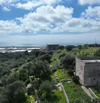Foto annuncio 3