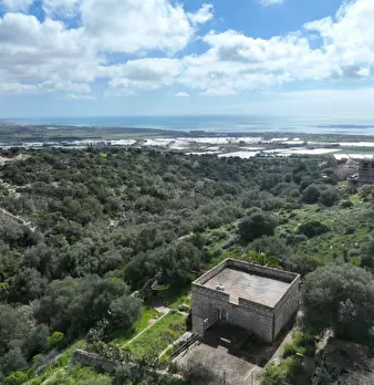 Foto annuncio 6