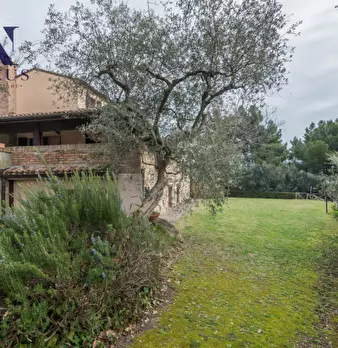 Foto annuncio 19