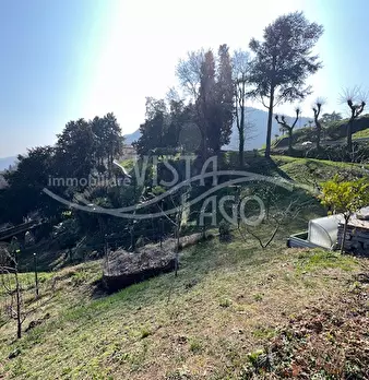 Foto annuncio 34