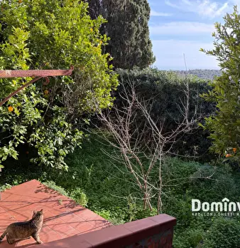 Foto annuncio 33