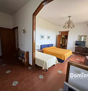 Foto annuncio 36