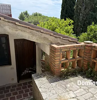 Foto annuncio 60