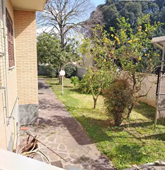 Foto annuncio 11
