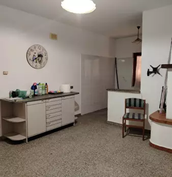 Foto annuncio 29