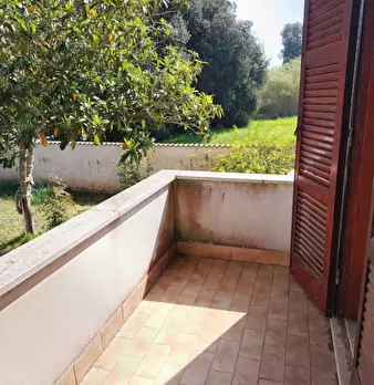 Foto annuncio 53