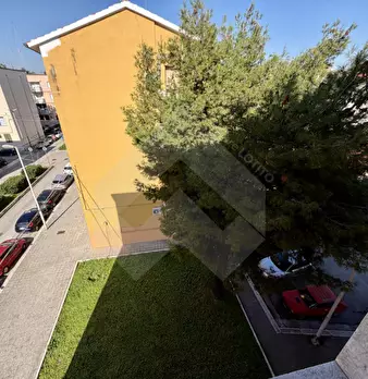 Foto annuncio 8