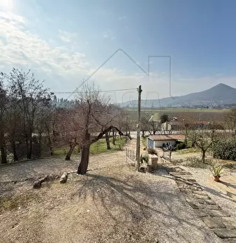 Foto annuncio 11