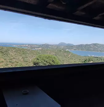 Foto annuncio 29