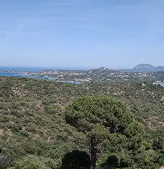 Foto annuncio 33