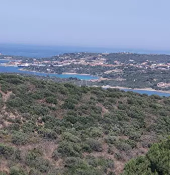 Foto annuncio 34