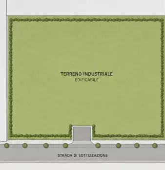 Foto annuncio 25