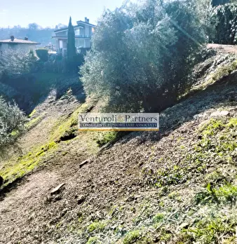 Foto annuncio 4