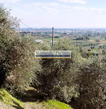 Foto annuncio 12