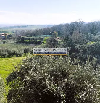 Foto annuncio 13