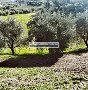 Foto annuncio 15