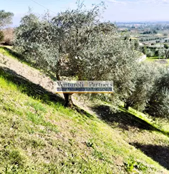 Foto annuncio 16