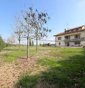 Foto annuncio 47