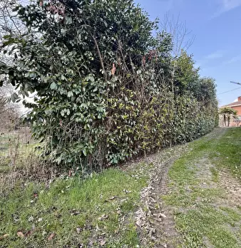 Foto annuncio 4