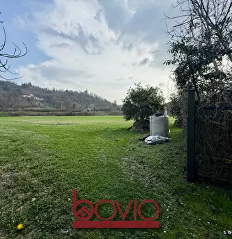 Foto annuncio 12