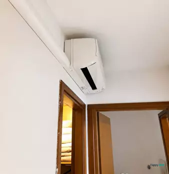 Foto annuncio 12