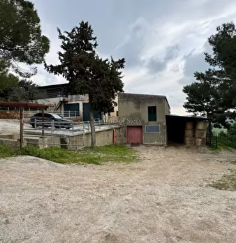 Foto annuncio 35