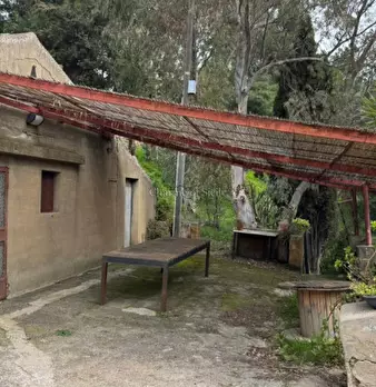 Foto annuncio 61