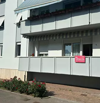Foto annuncio 7