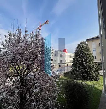Foto annuncio 19