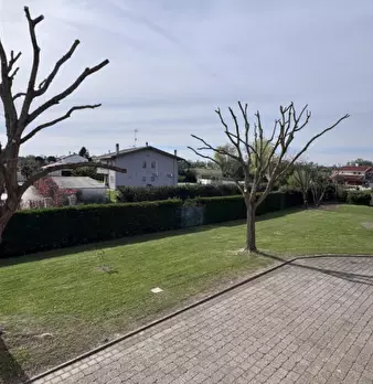 Foto annuncio 7