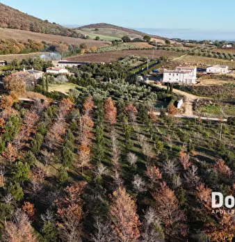 Foto annuncio 9