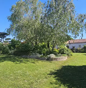Foto annuncio 50