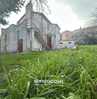 Foto annuncio 24