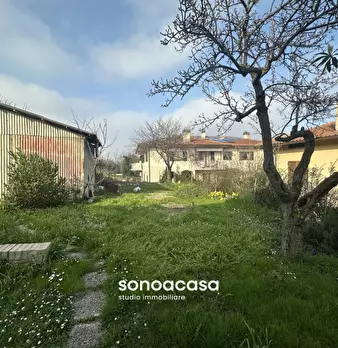 Foto annuncio 28