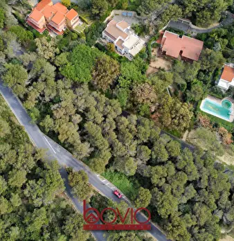 Foto annuncio 11
