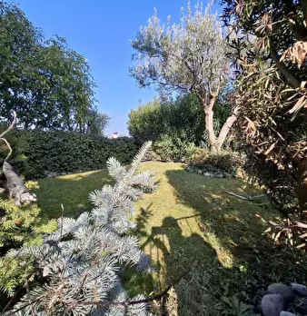 Foto annuncio 4
