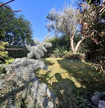 Foto annuncio 8