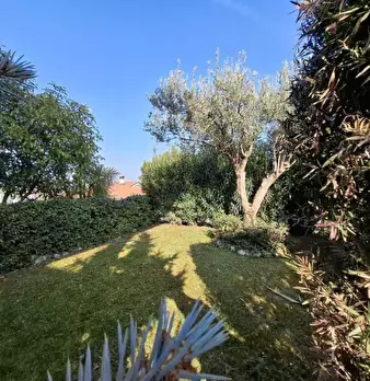 Foto annuncio 13