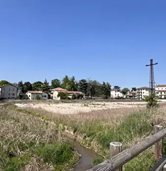 Foto annuncio 5