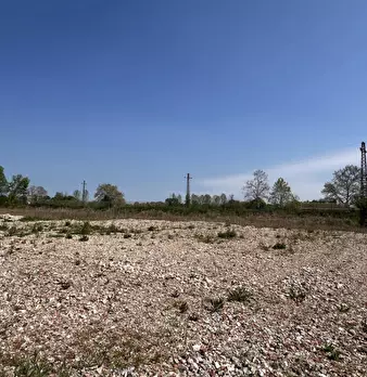Foto annuncio 10