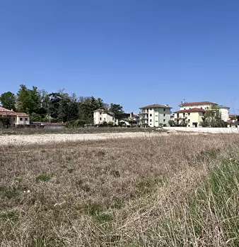 Foto annuncio 12