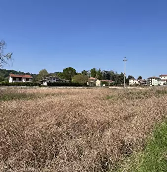 Foto annuncio 13