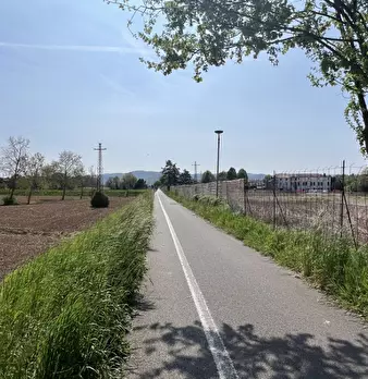 Foto annuncio 15