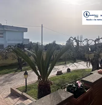 Foto annuncio 42